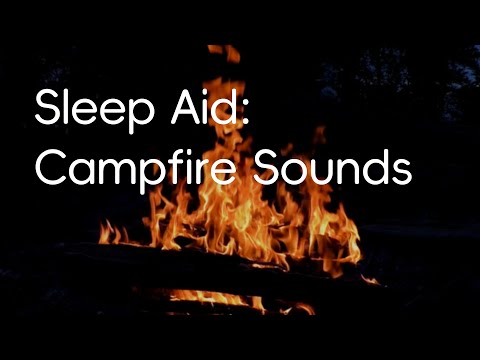 Cozy Forest Campfire | 8-Hour Crackling Fire White Sound | Sleep, Relax, Background ASMR for Focus