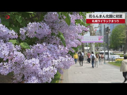【速報】花らんまん北国に初夏 札幌ライラックまつり