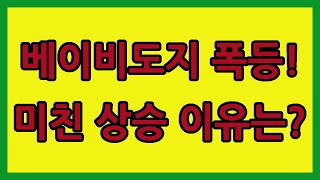 베이비도지코인 전망 가격 폭등! 상승 이유는? 스테이킹 소각 바이낸스 호재 분석
