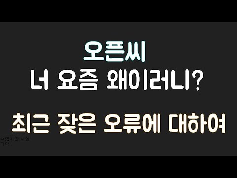 최근 오픈씨의 찾은 오류에 대하여
