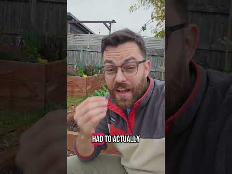 Dirt Cheap is a lie #gardening #gardeningaustralia #gardenjoke
