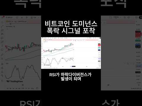 비트코인 도미넌스 폭락 시그널 포착