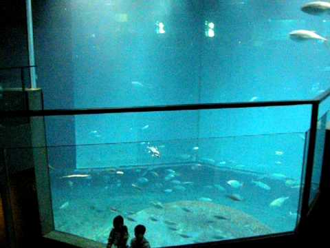 Kasai Rinkai Koen: Tokyo Sea Life Park