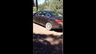 Buick Royal: Expedition Run