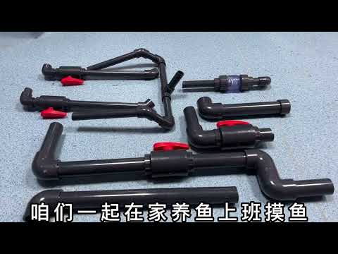 #司柠家溪流缸 在河边捡了不要钱的石头，做了一个原生溪流缸#溪流缸组装教程