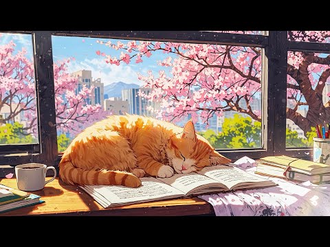 Lazy Spring Morning 🌸 Spring Lofi Songs To Start The Day Slowly 🌸 Morning Lofi With The Sleep Cat