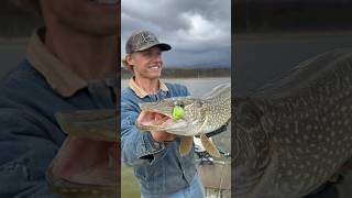 Fly fishing for pike, Epic takes on camera! #pike #fishing #pikefishing #flyfishing
