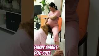 Funny video smart dog cute animal. #美女 #萌宠出道计划 #doanvanbau #funny #夫妻
