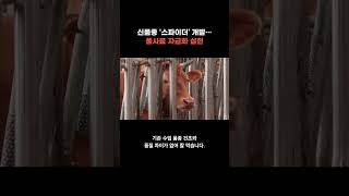 품종 '스파이더' 개발…풀사료 자급화 실현