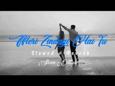 Meri Zindagi Hai Tu [Slowed+Reverb] - Satyameva Jayate 2 |Jubin N, Neeti M| Remake Artist |Textaudio
