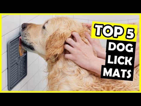 TOP 5: Best Dog Lick Mat of 2025