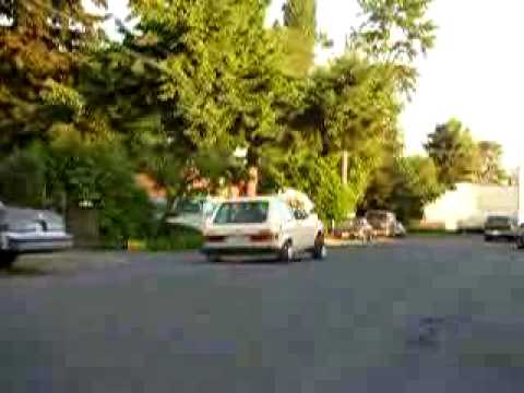 Bagged rabbit scraping 2