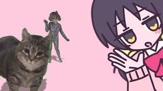 あぁお / oiia cat【音MAD】