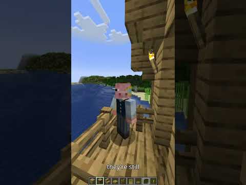 Bundles.  #minecraft #gaming #funny