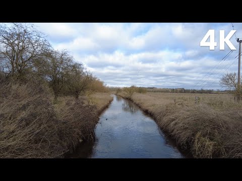 Beautiful hidden lake glistens on a sunny day after rainfall (Nature Visualizer)