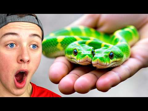 He Adopted A Snake With 2 Heads