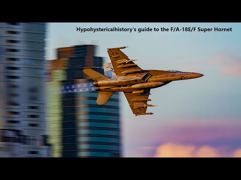 Hypohystericalhistory's guide to the F/A-18E/F Super Hornet