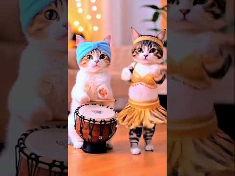#Cat Arabic dance👯💃👯💃👯#yutubeshorts #viralvideo #trendingshorts #yutube 💃💃🥰🥰🥰