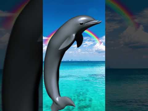 Had to join this trend #dolphin #afterefects #edit #aftereffects #whale #orca #ocean #editbay #ado