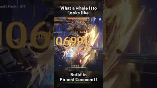 WHAT A WHALE ITTO LOOKS LIKE