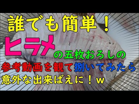 【料理】誰でも簡単ヒラメのさばき方参考動画を観てさばいてみた【５枚おろし】