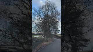 A Visit to Lake District UK 🇬🇧 #roadtrips #vacationdestinations #nature #mostamazingplaces