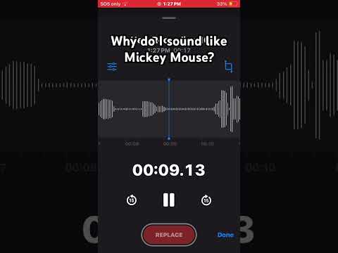 Why do I sound like Mickey Mouse? #bfb #tpot #fourx￼