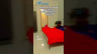 Coliving PG near Noida Sec-62