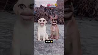 Holi comedy funny video #comedy