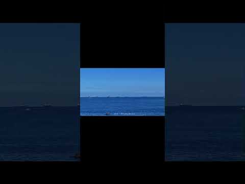 Boat 죠지 여자 cover