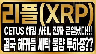 [리플 XRP 코인전망]긴급! CETUS 해킹물량, 싹다 풀리는 중? 지금 급락에 반드시 '이렇게' 대응해야 합니다! #XRP