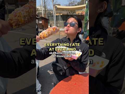 Everything I ate at Everland (aka South Korea’s version of Disneyland) 🎢