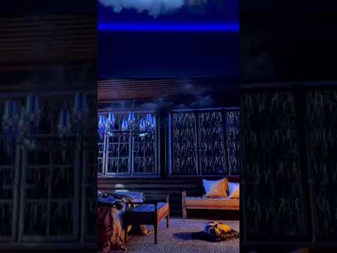 Oled Storm