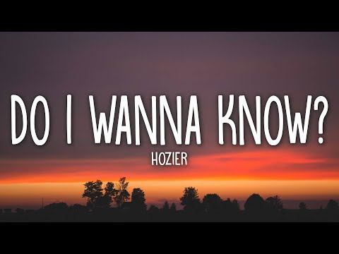 Hozier - Do I Wanna Know? (Lyrics)