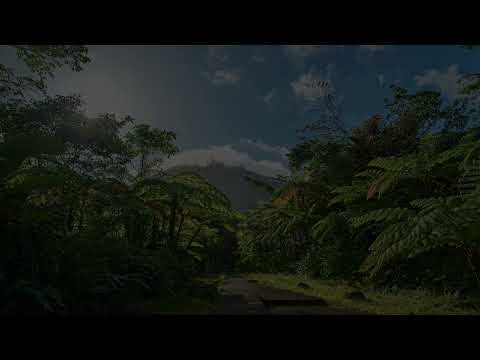 Calming Ambient Music for Relaxation, Work and Study