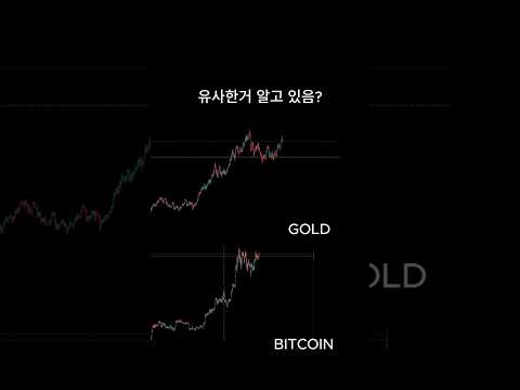 비트코인 금 상관관계