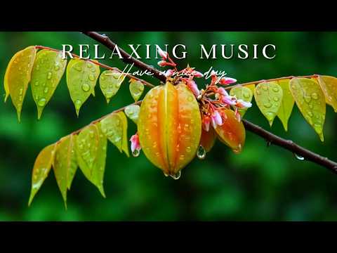 Unleash Inner Rest 🌿 Fern Trails Relaxing Piano | Oxy Music