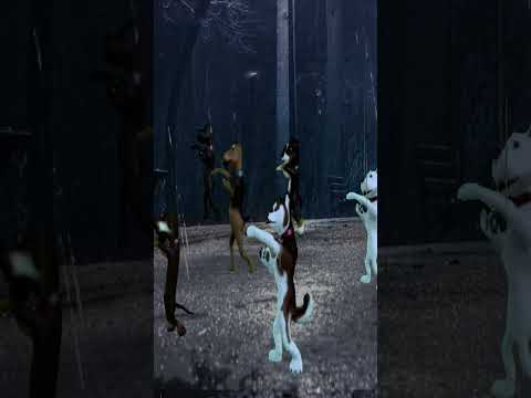 Addictive music and dance. Silent night