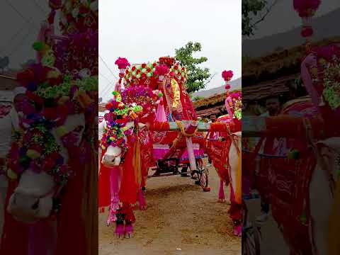 New khandeshi song | Bailgada Dance | Bailgada Song| Ahirani Bailgada Song| #bailgadapremi