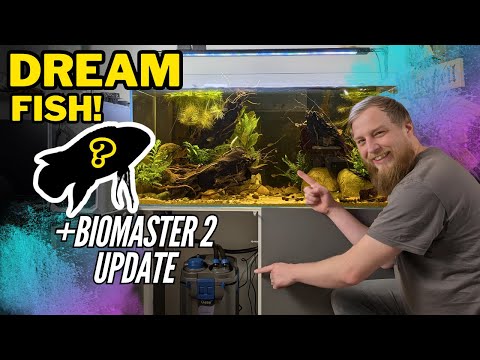 Adding RARE & EXPENSIVE fish to the Amazon tank. Plus Biomaster2: how has it done?