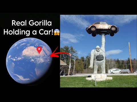 Gorilla 🦍 Holding A Car 🚗 On Google Earth #discoverearth  #googleearth