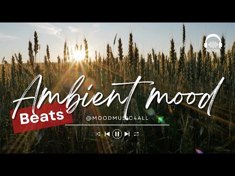 Chill out with these Calm Ambient Beats