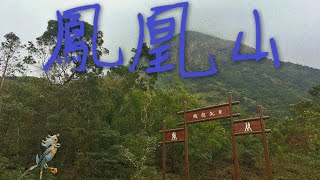 [行山路徑介紹系列EP02]最熱門看日出的地方-鳳凰山