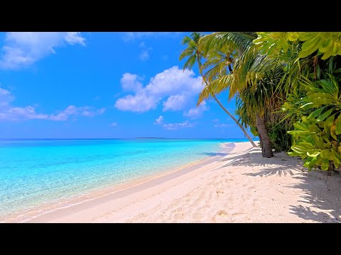 🏝 Paradise Found: Maldives Beach and Crystal Blue Waters. Ocean 4K Ultra HD