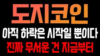 [도지코인 코인전망] 아직 하락은 시작일 뿐이다! 진짜 무서운건 지금부터!!