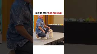 Inject calm energy and your dog will give it back to you. #puppy #dogtraining
