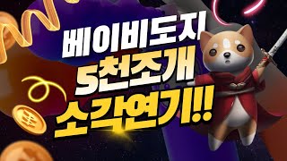 베이비도지코인 5천조개 소각 연기!!