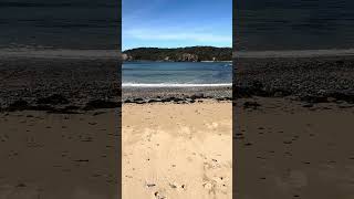 #beach #nature #synthwavejourney #ocean
