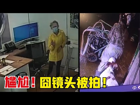 15个监控拍到的惊人画面，面试撞到玻璃门，还被自家牛偷袭？