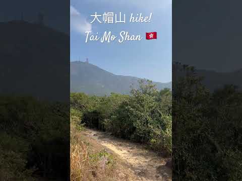 Hike at Tai Mo Shan 🇭🇰 大帽山🗻
